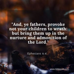 biblepool.com