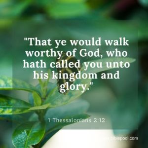 biblepool.com