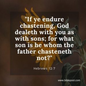 biblepool.com