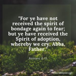 biblepool.com